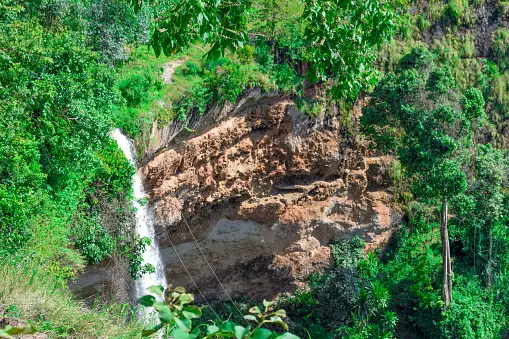 https://weitzsafaris.com/wp-content/uploads/2018/09/istockphoto-1332484927-170667a.webp