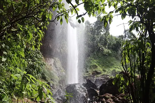 https://weitzsafaris.com/wp-content/uploads/2018/09/istockphoto-1485391401-170667a.webp